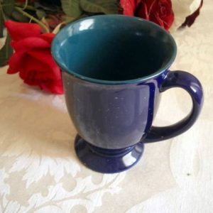 Native Hawk mug